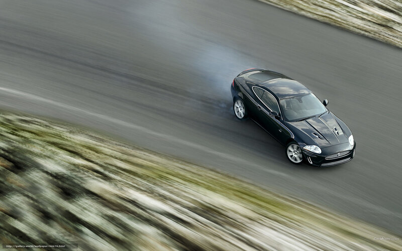 Black Jaguar Coupe — Dynamic