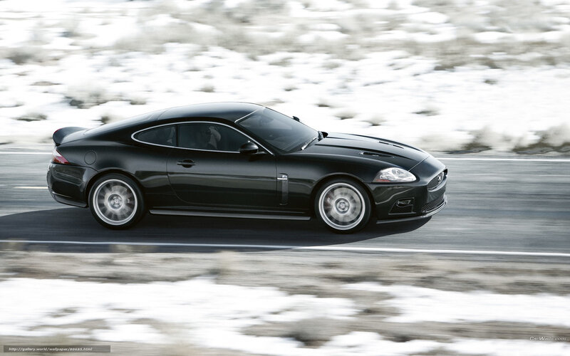 Black Jaguar Coupe — Dynamic, Winter