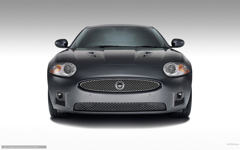 Black Jaguar Coupe — Gray