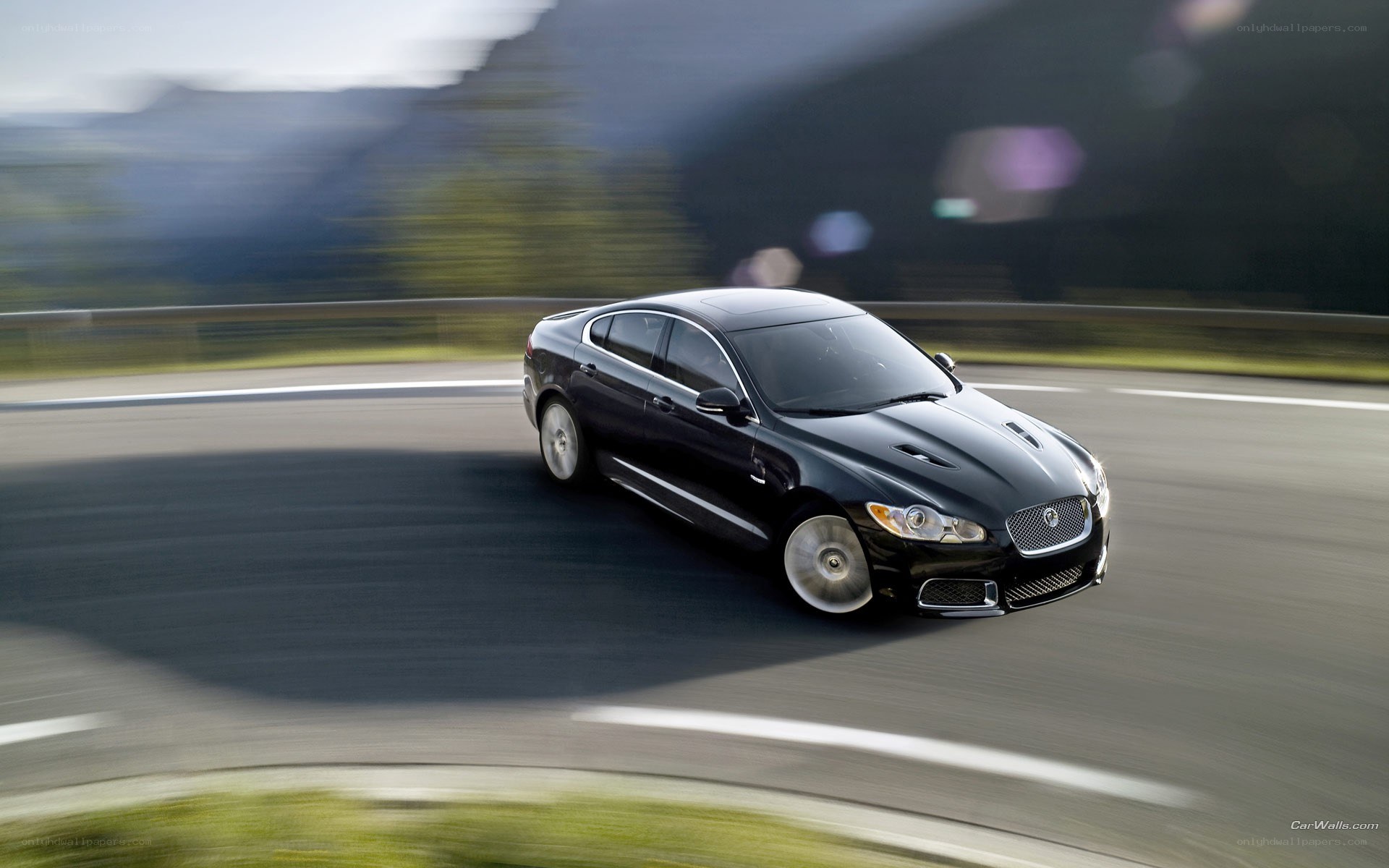 Black Jaguar driving on a road