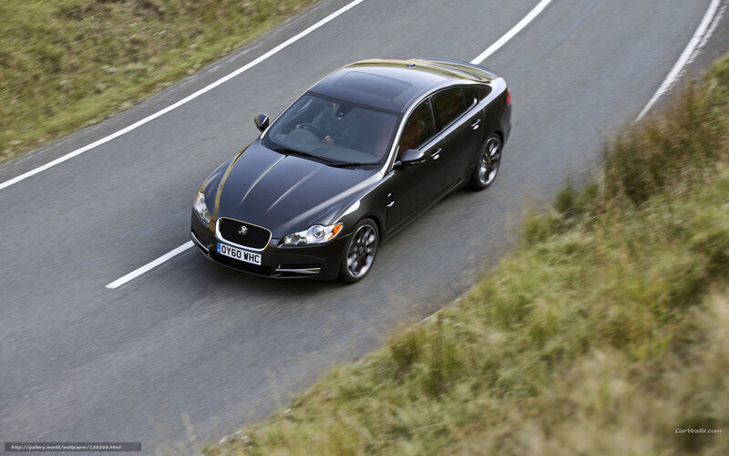 black jaguar driving on road