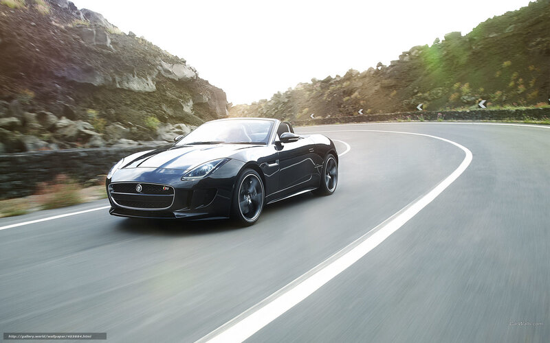 Black Jaguar F-Type on winding road