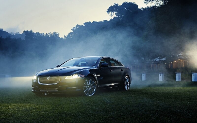 Black Jaguar on a misty lawn