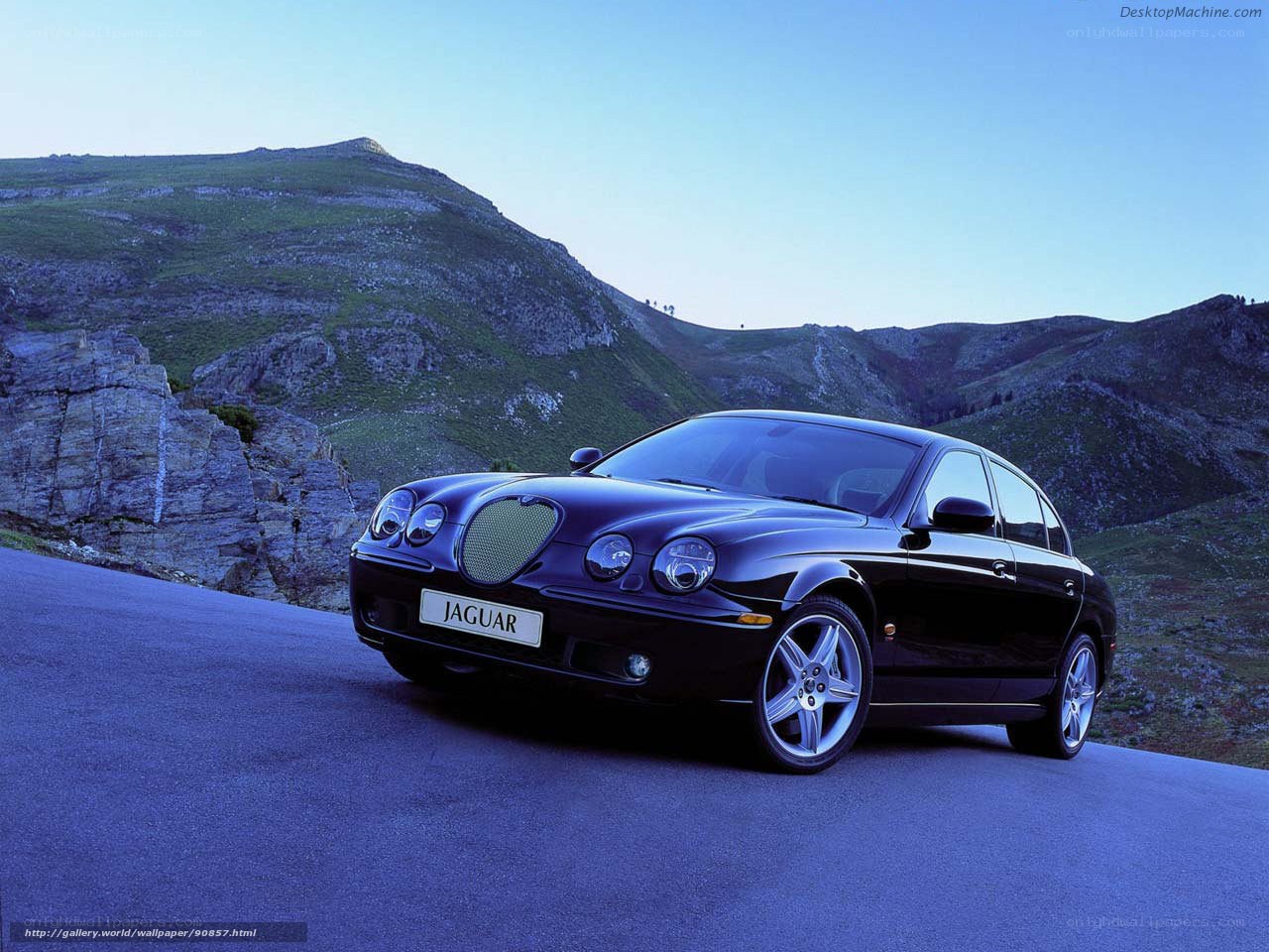 Black Jaguar on a mountain road