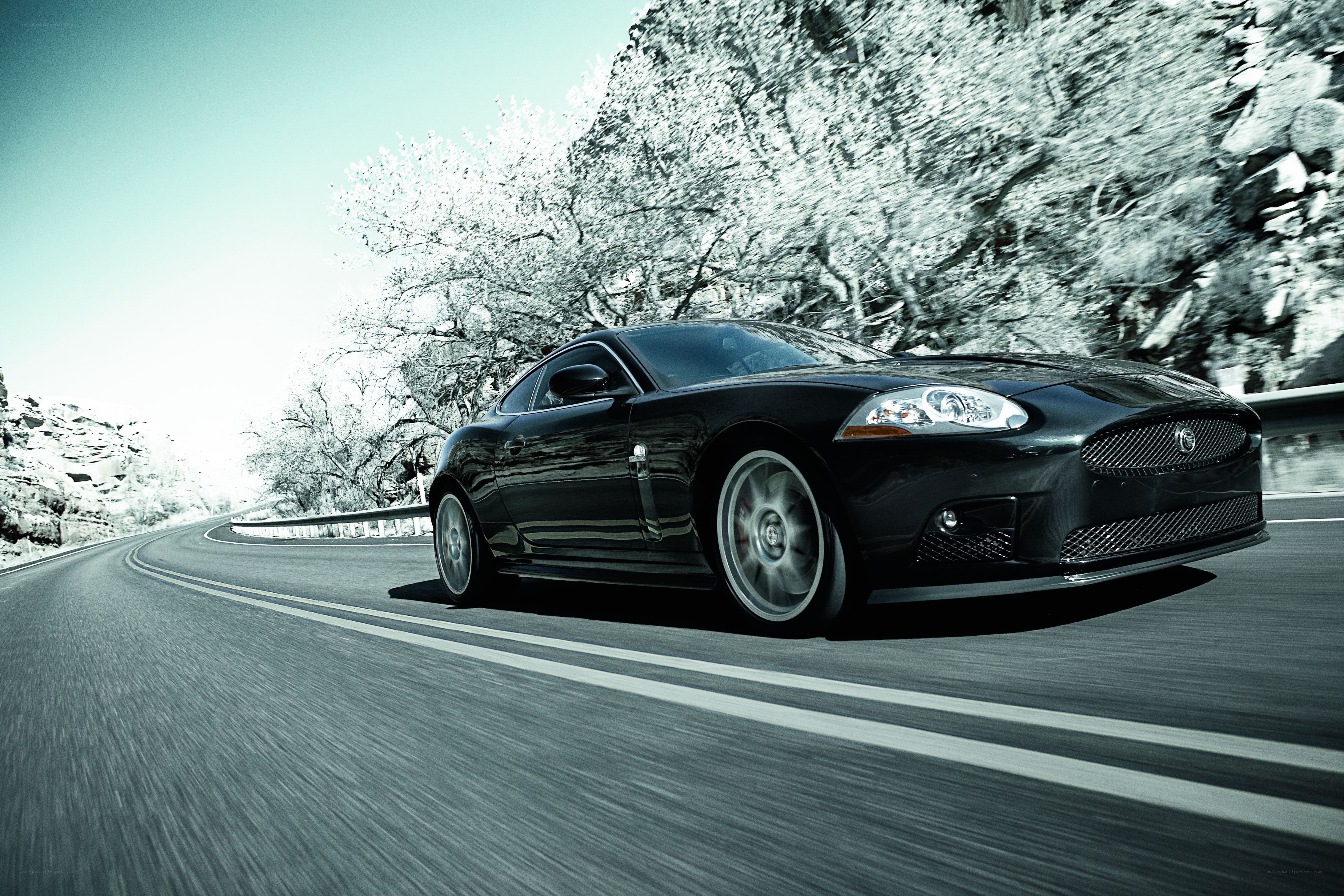 Black Jaguar on a winding road