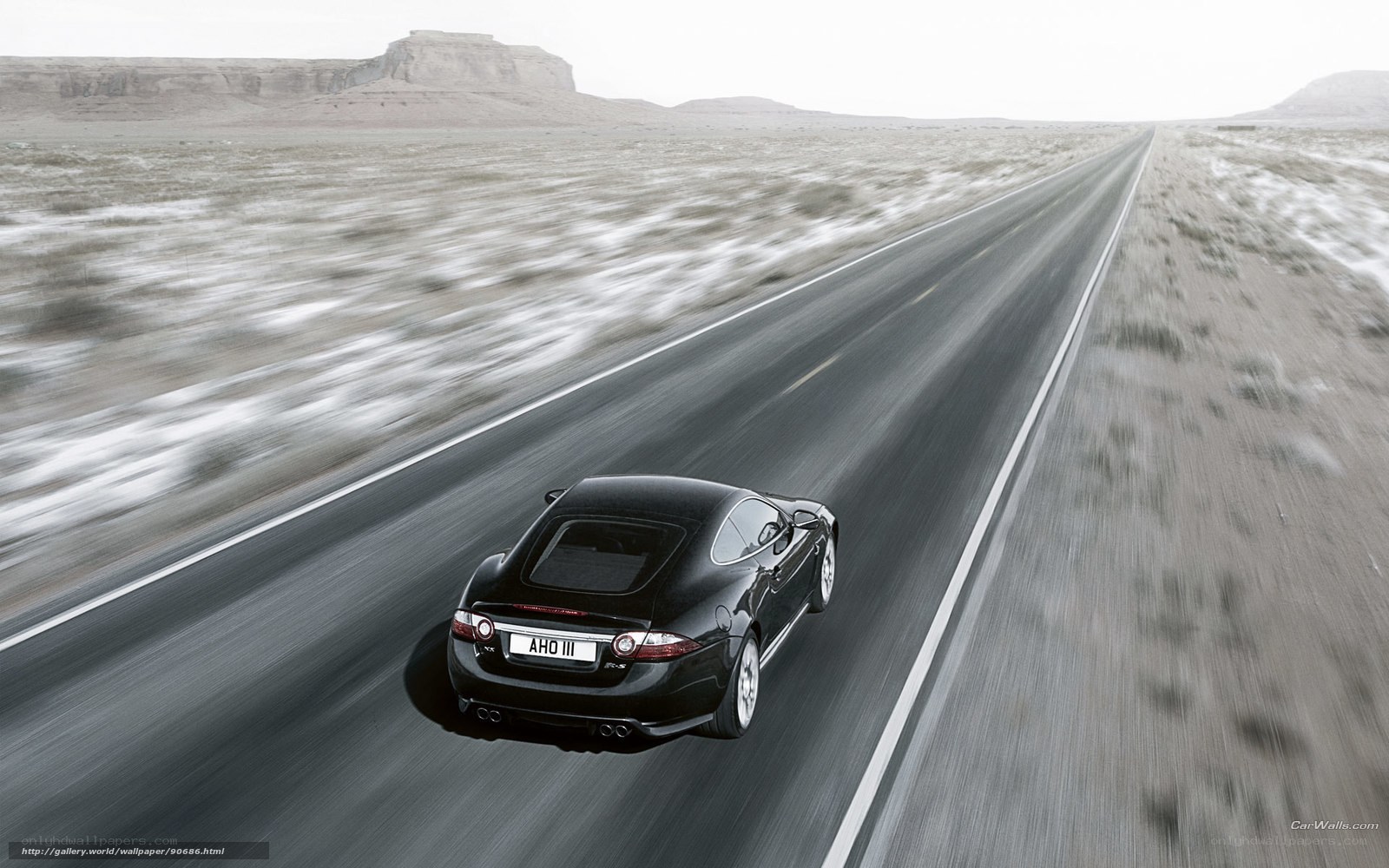 black jaguar on desert road