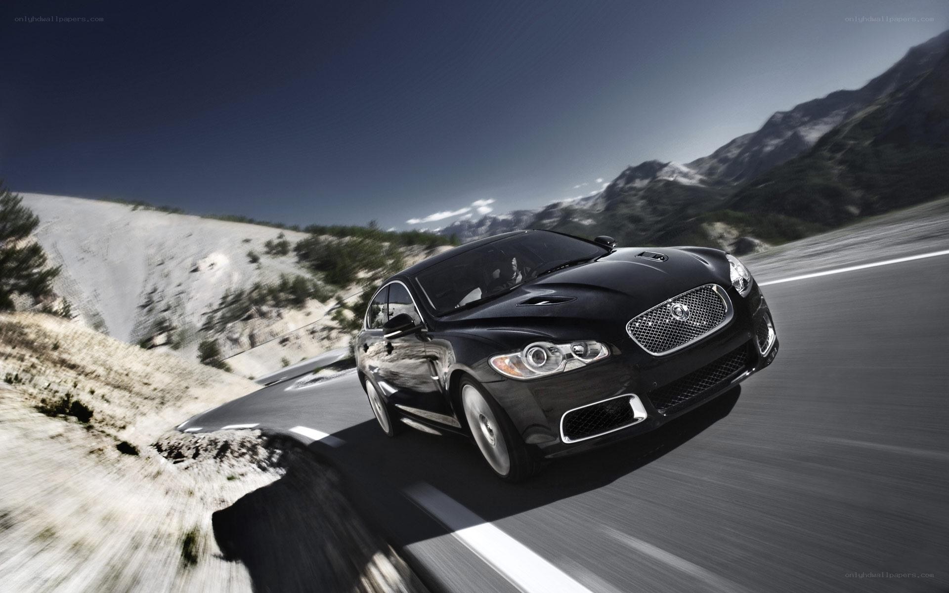 Black Jaguar on mountain road
