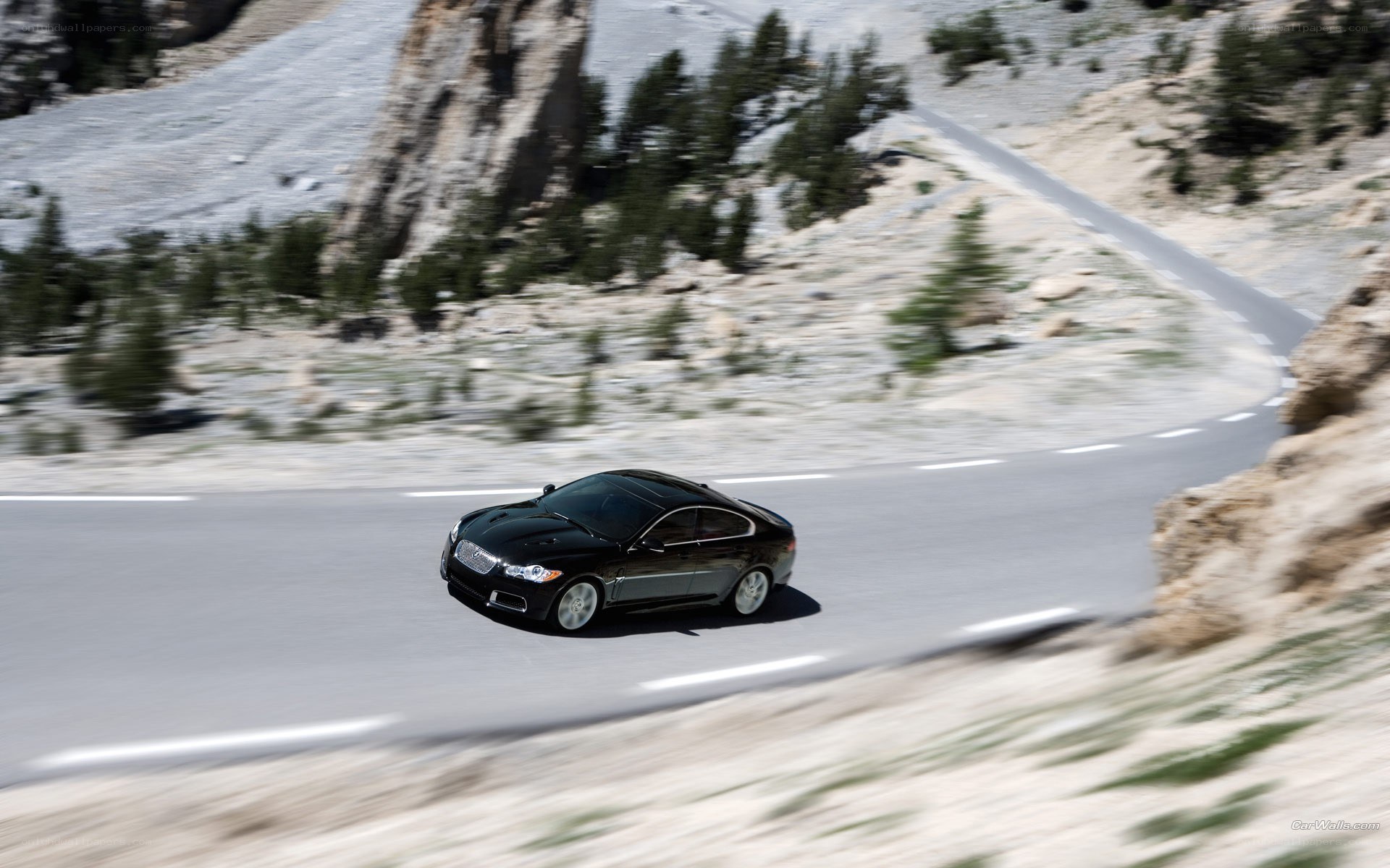 Black Jaguar on mountain road