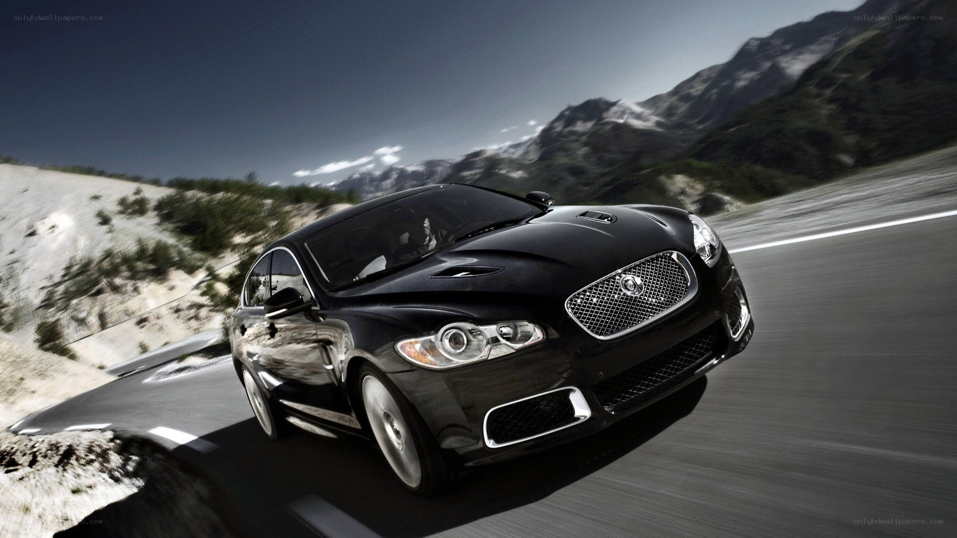 Black Jaguar on mountain road