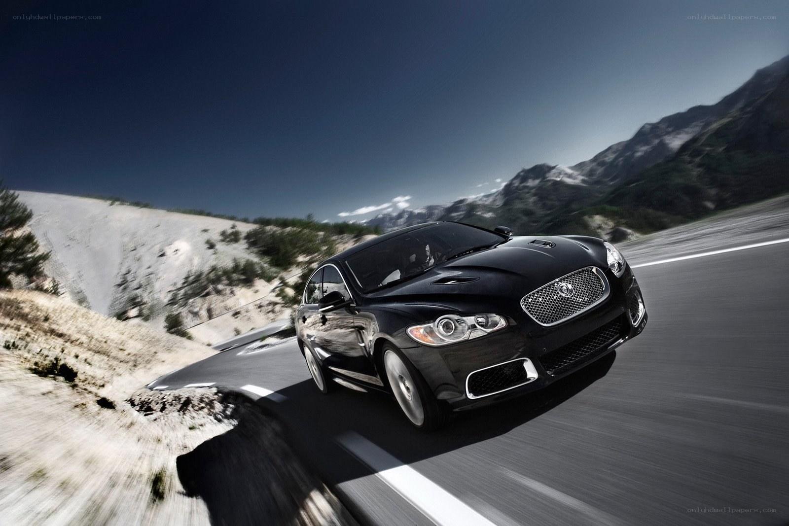 Black Jaguar on mountain road