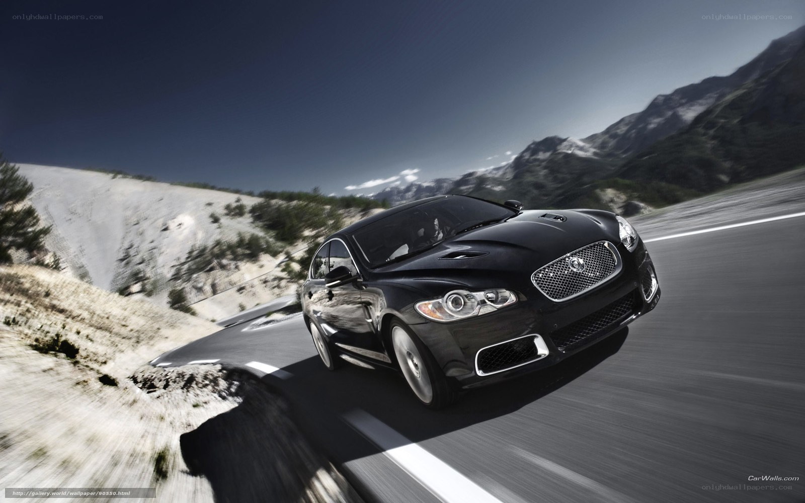 Black Jaguar on mountain road