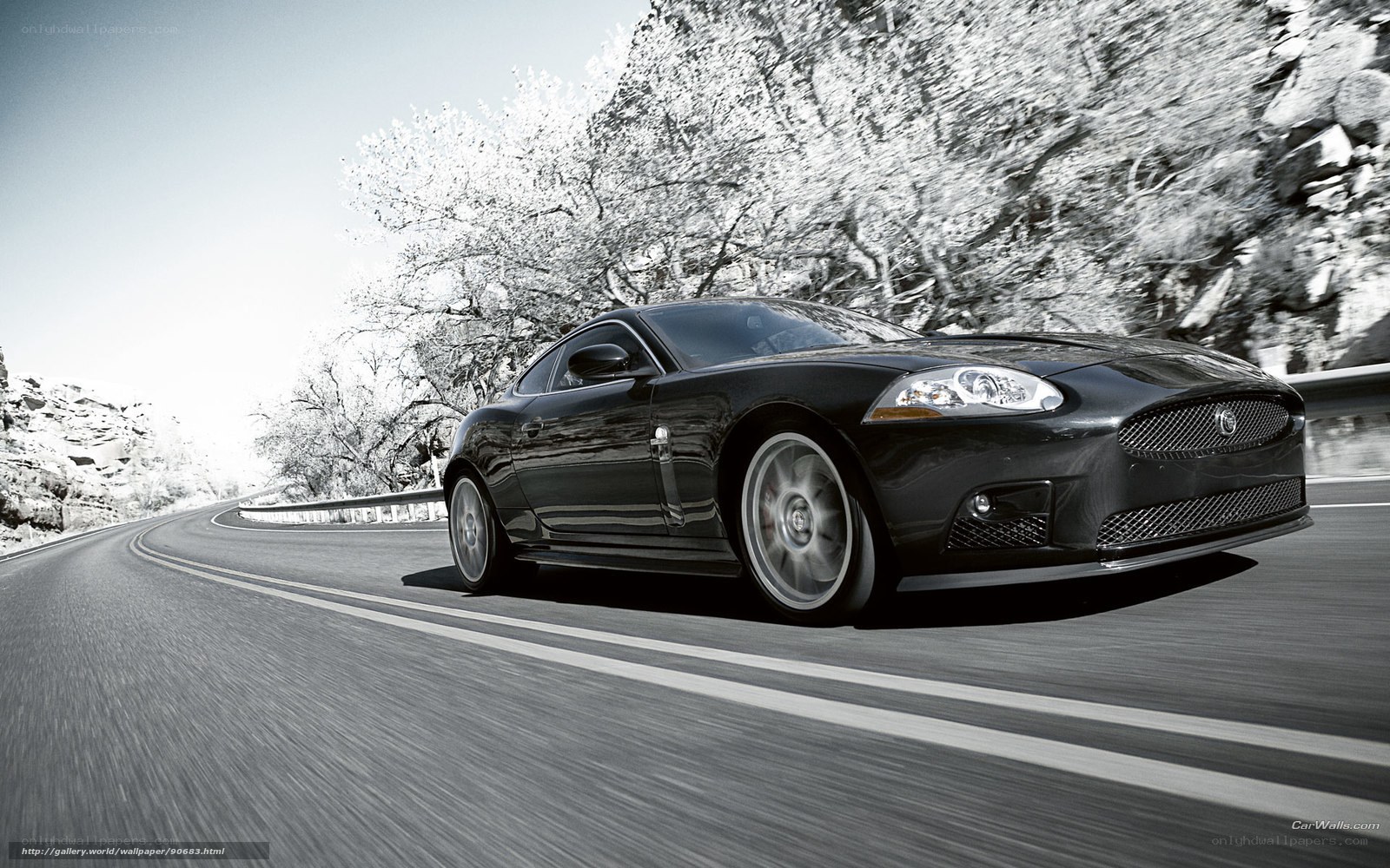 black jaguar on winding road