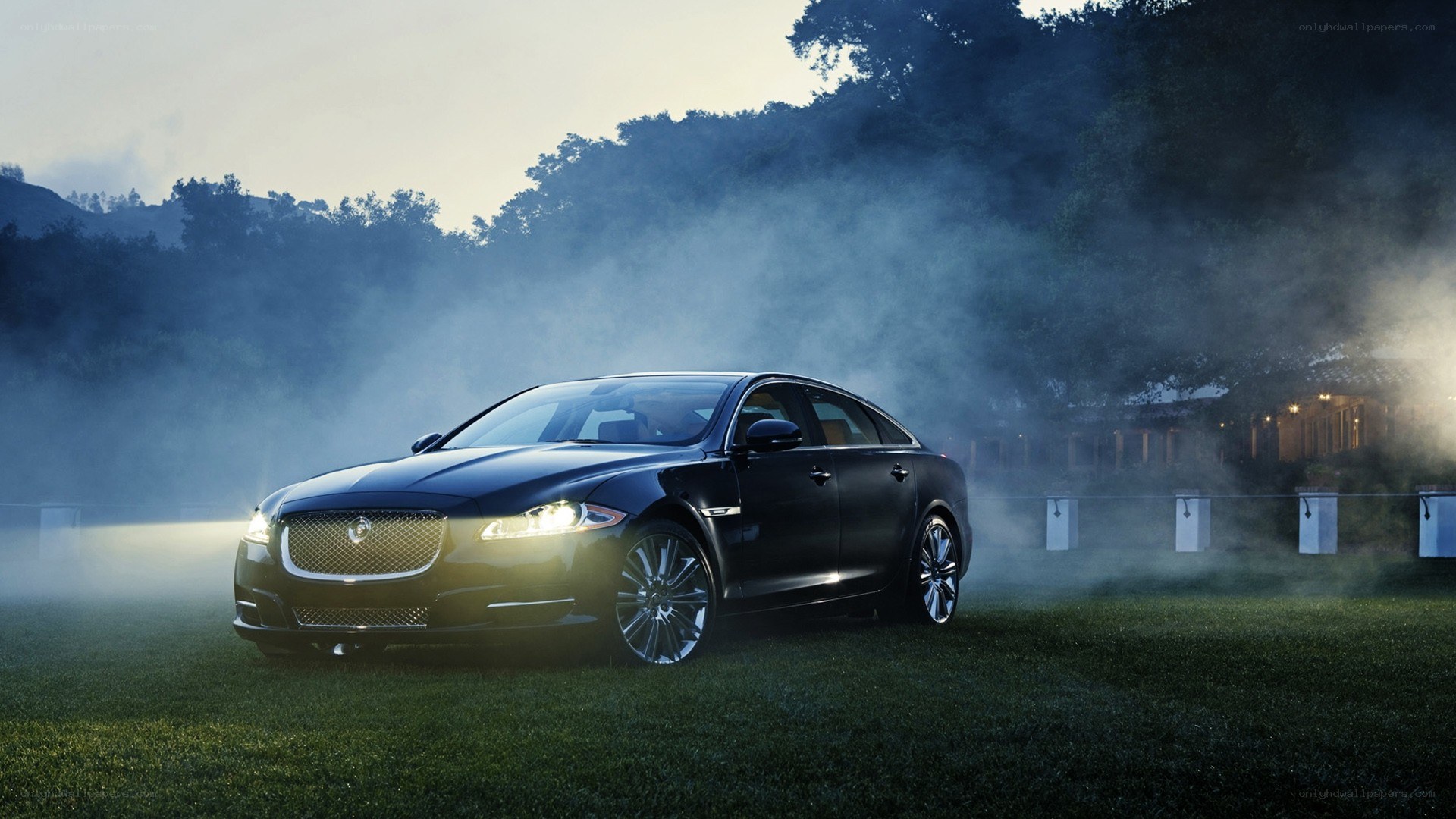 Black Jaguar sedan on grass