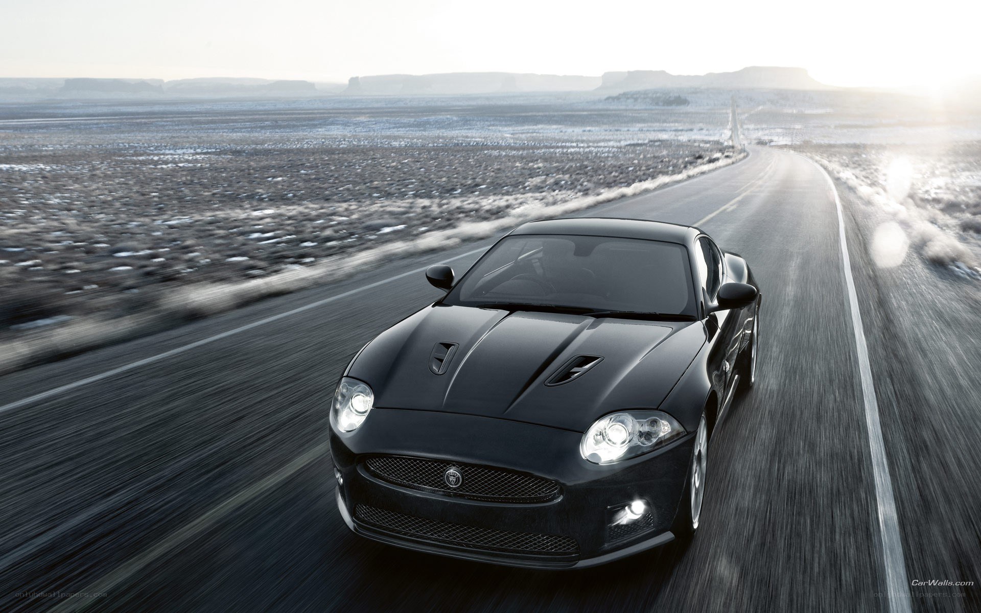 black jaguar speeding on desert road