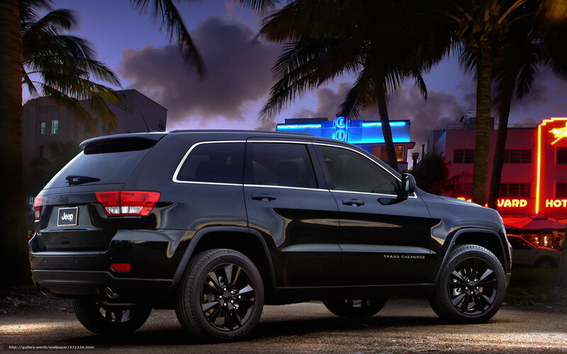 Black Jeep Grand Cherokee — Dramatic, Night, Photograph, Palm Trees