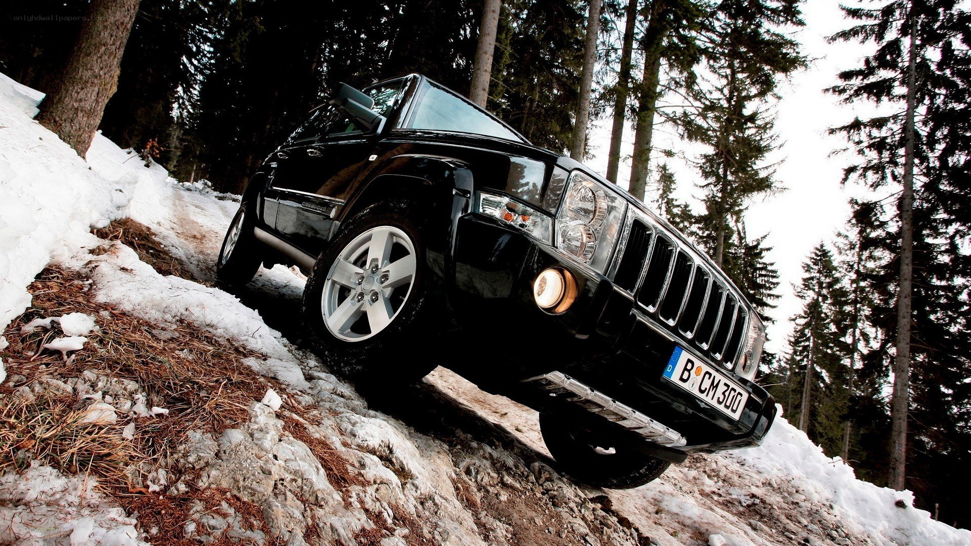 Black Jeep on snowy forest trail