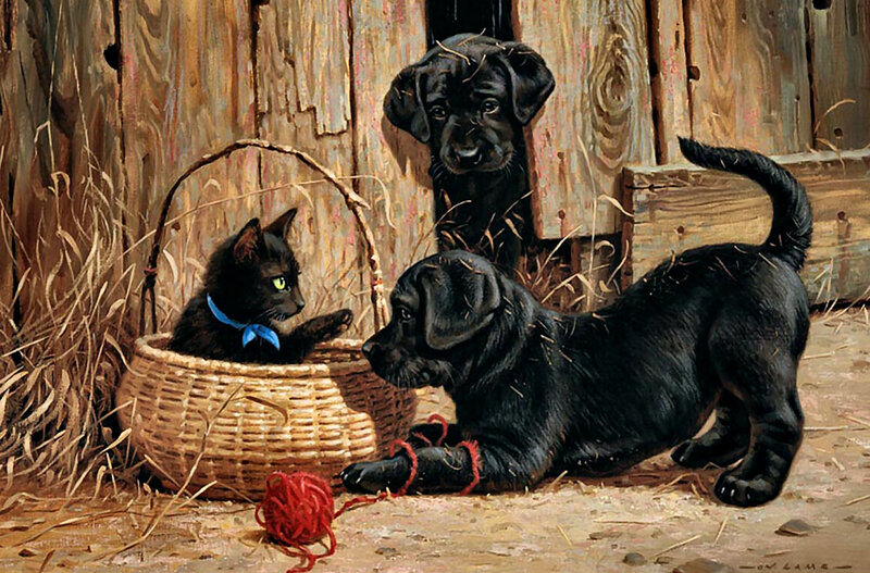 Black Kitten and Puppies