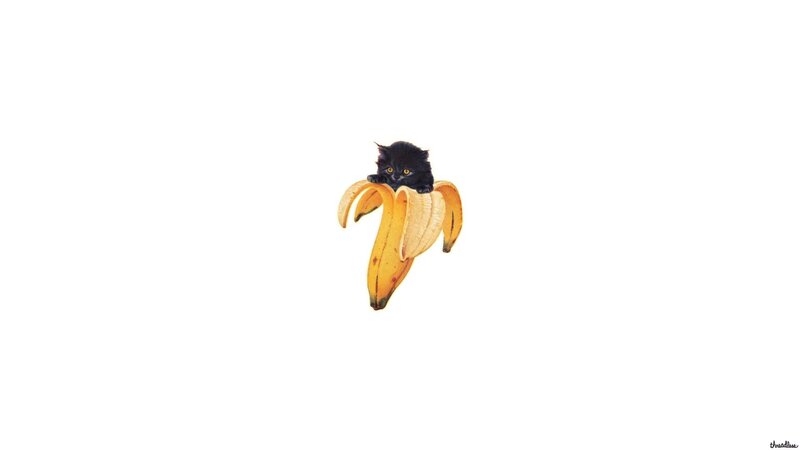 Black Kitten in Banana — Yellow