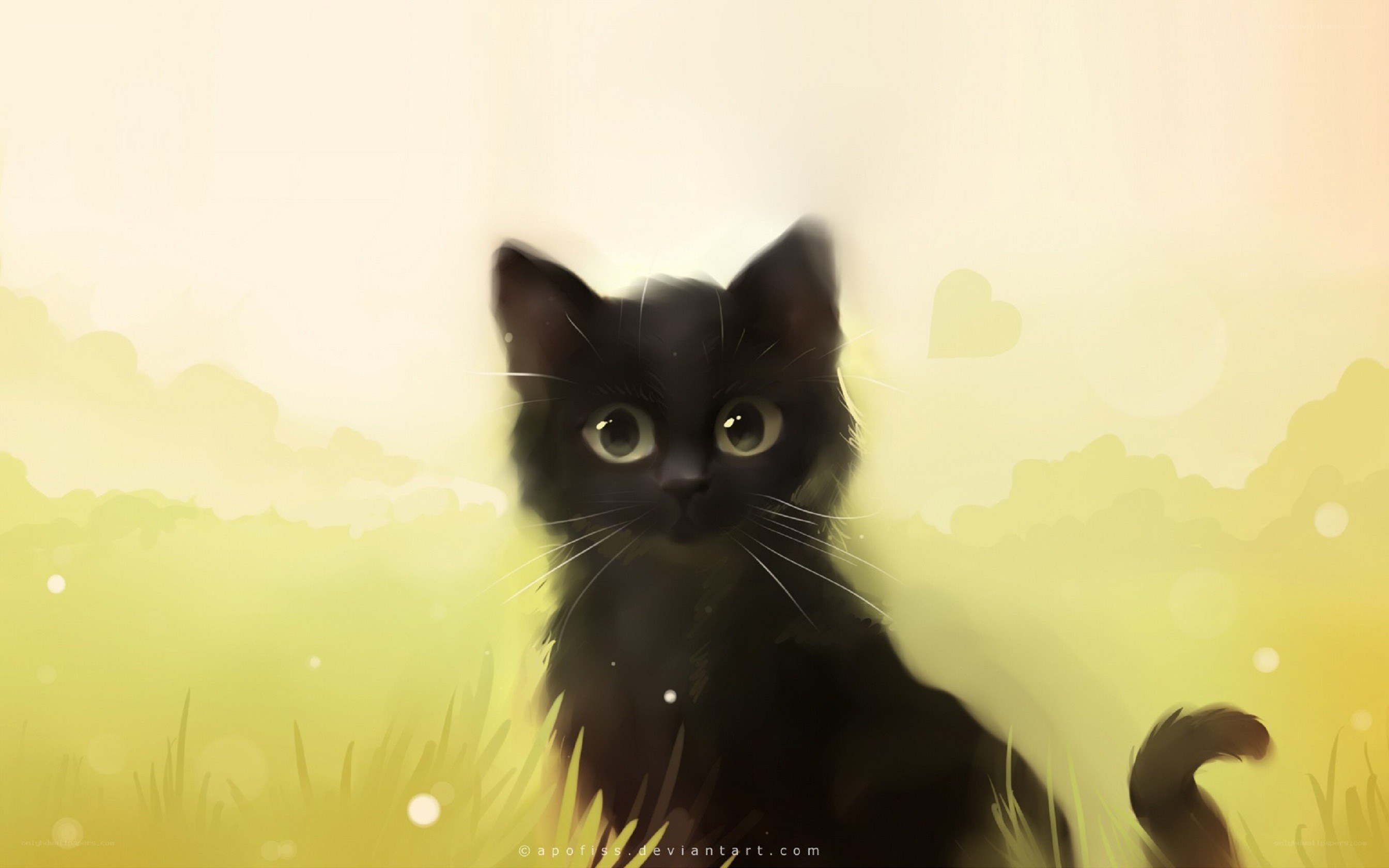 Black kitten in sunlit grass