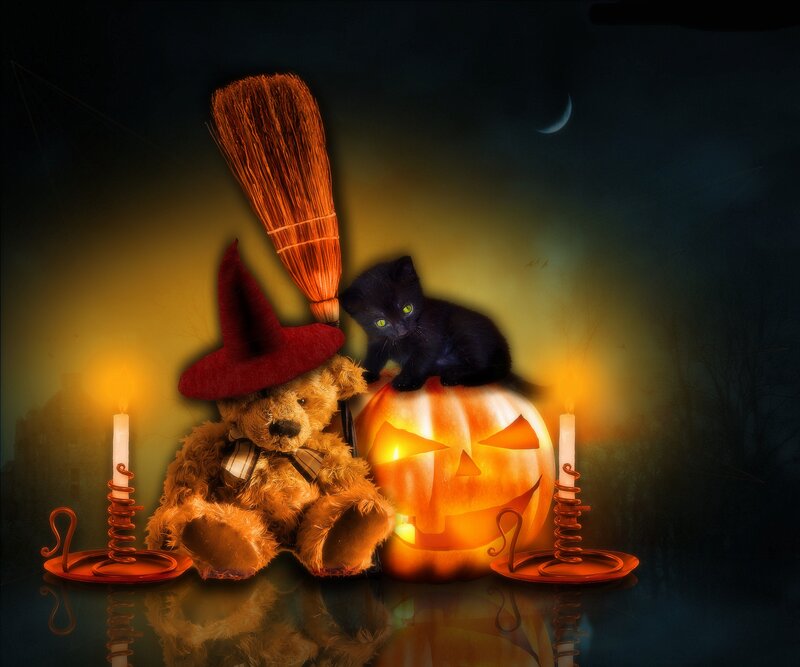 Black Kitten on Pumpkin — Orange, Spooky
