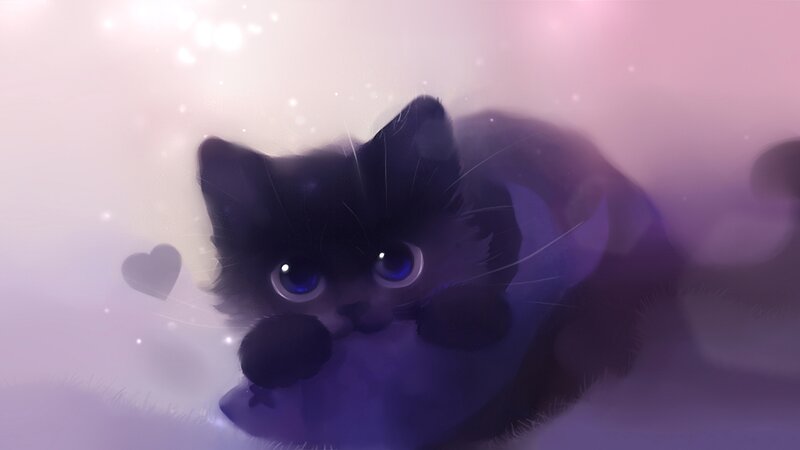 Black Kitten with Blue Eyes — Purple