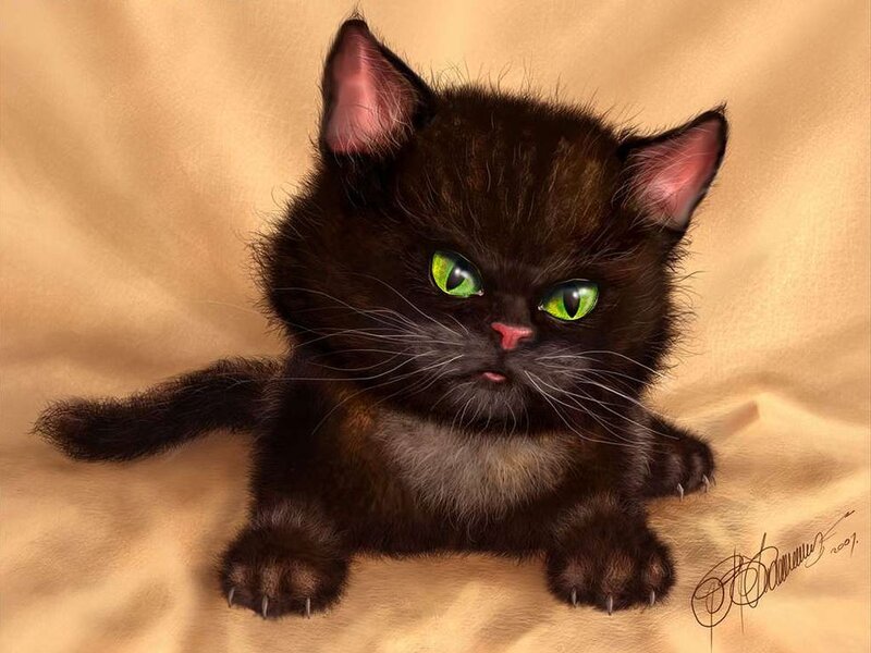 Black Kitten with Green Eyes — Calm, Digital Art