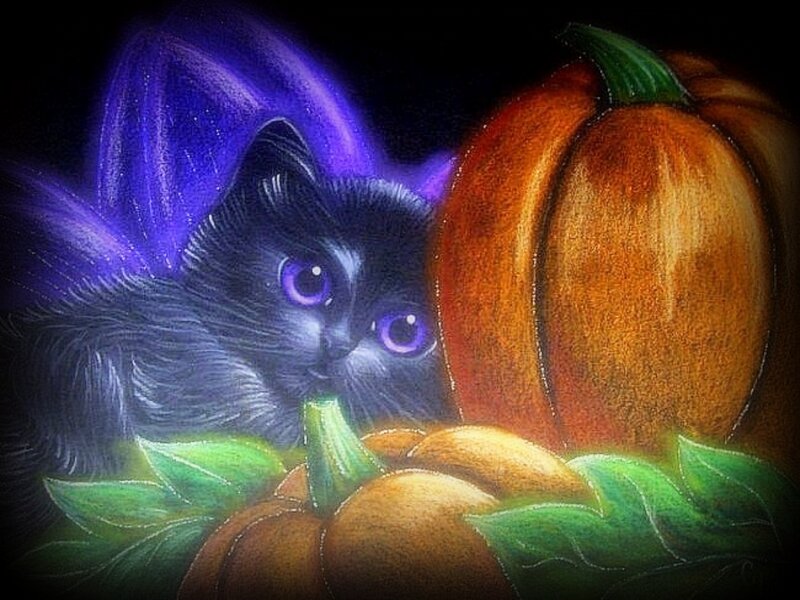 Black Kitten with Pumpkins