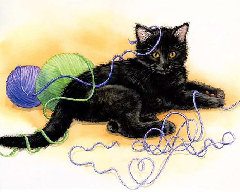 Black Kitten with Yarn — Playful