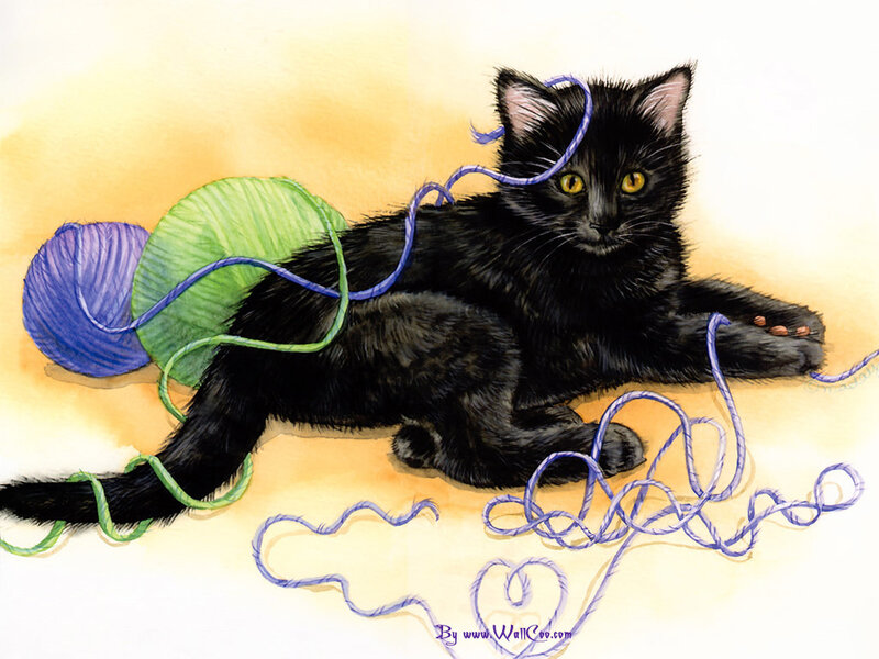Black Kitten with Yarn