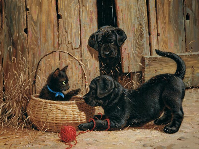 Black Kittens and Puppies