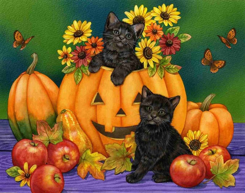 Black Kittens in Pumpkin — Orange