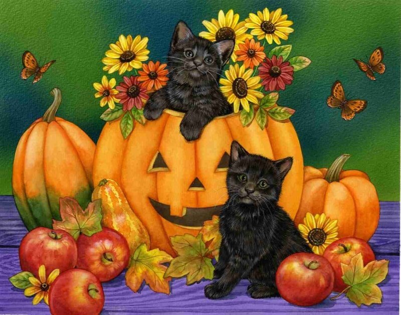 Black Kittens in Pumpkin