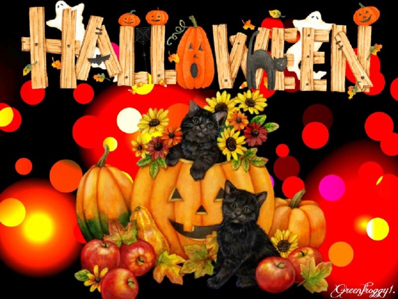 Black Kittens in Pumpkins