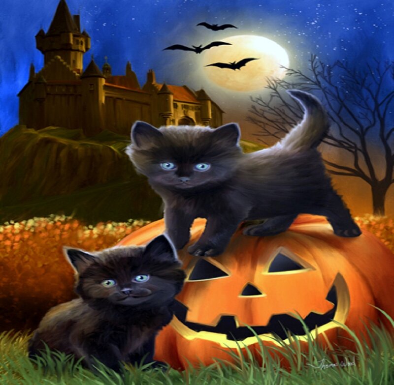 Black Kittens on Pumpkin