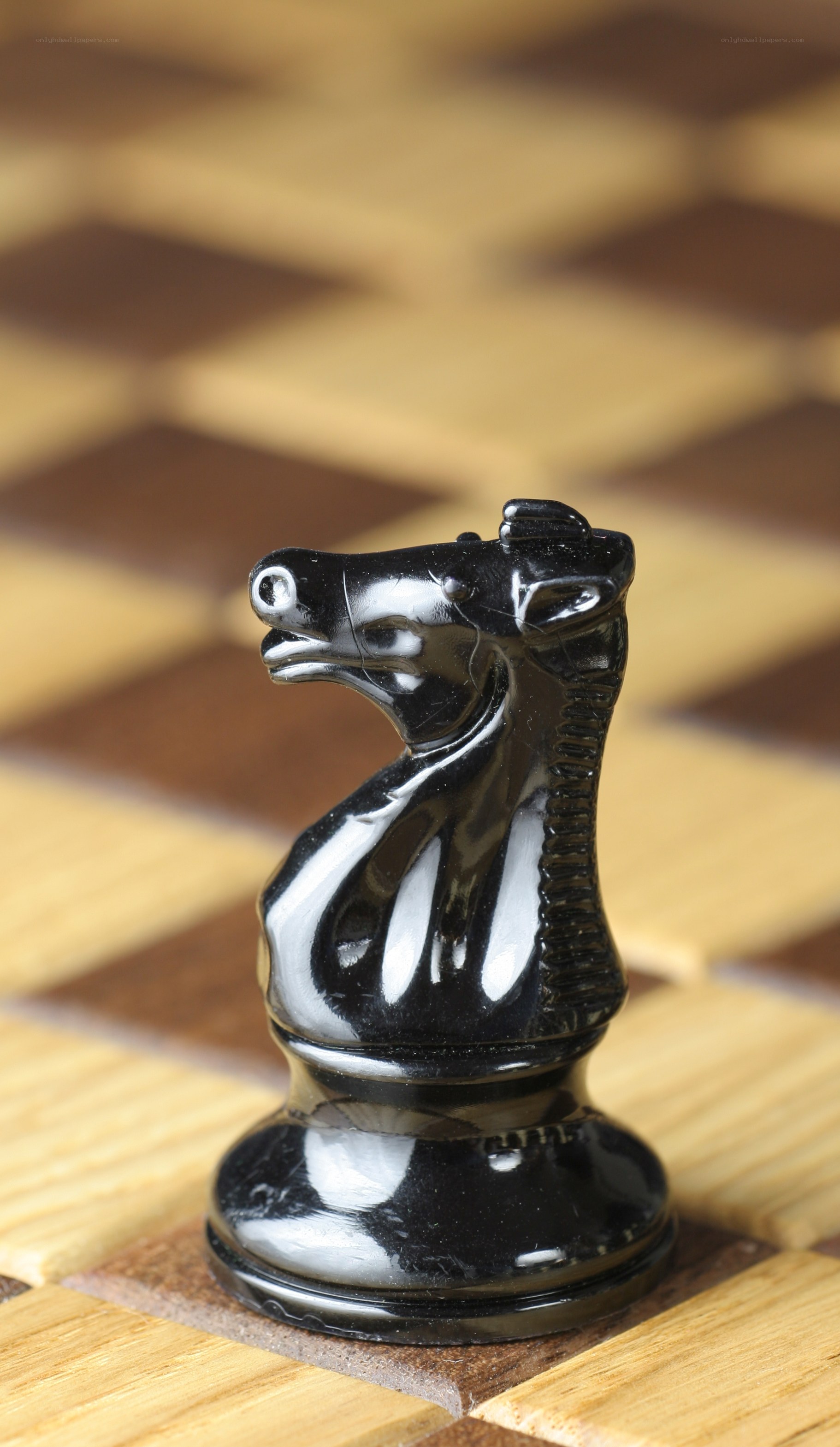 black knight chess piece
