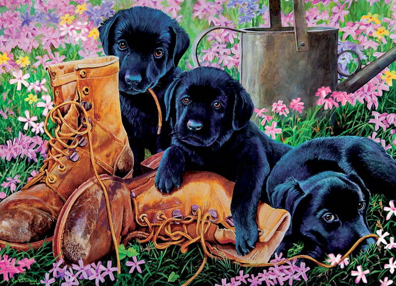 Black Lab Puppies — Peaceful
