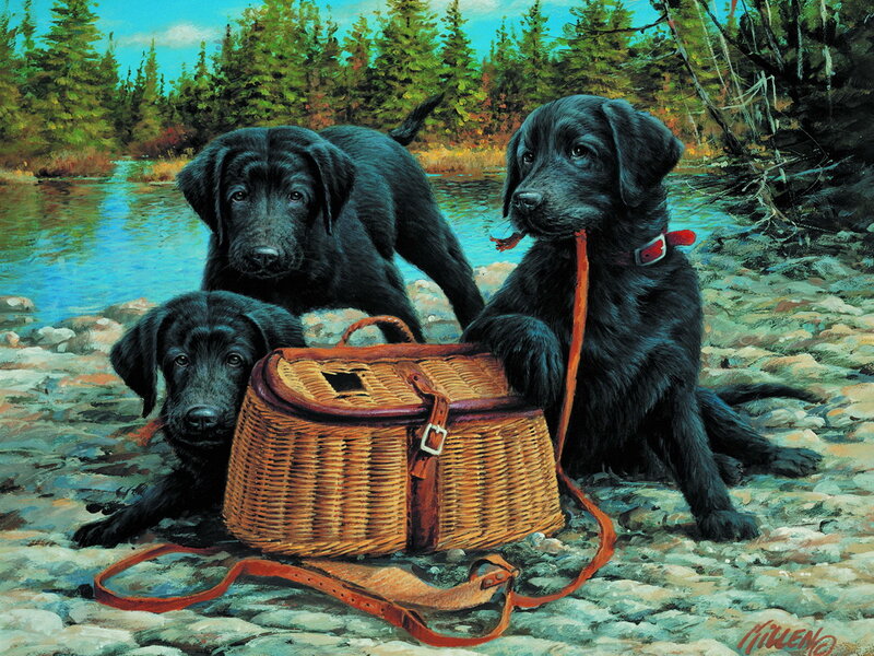 Black Lab Puppies — Serene