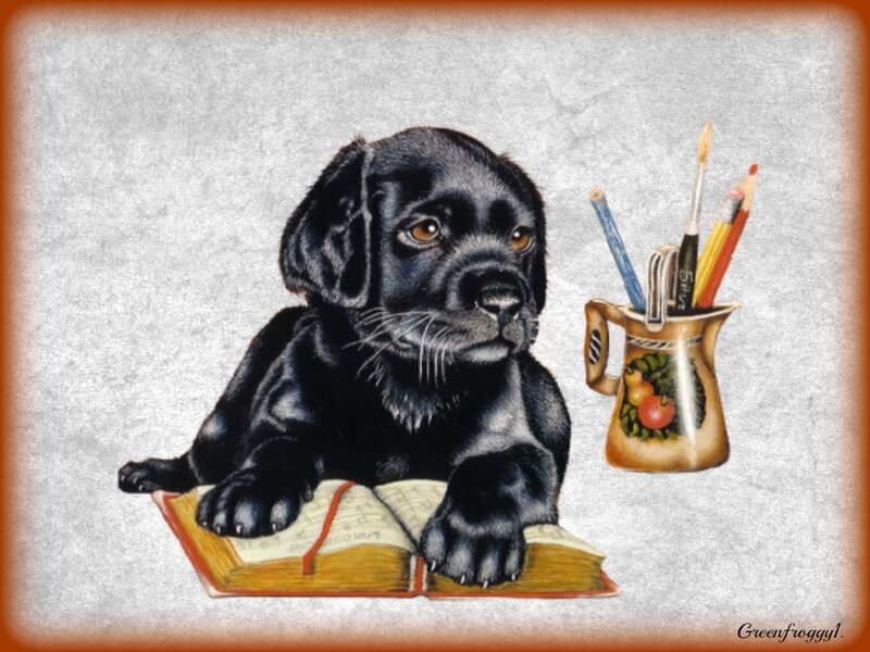 Black Lab Puppy — Calm, Illustration, Book