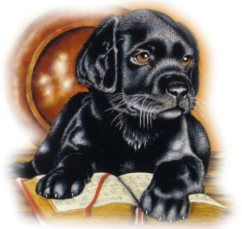 Black Lab Puppy — Calm, Illustration