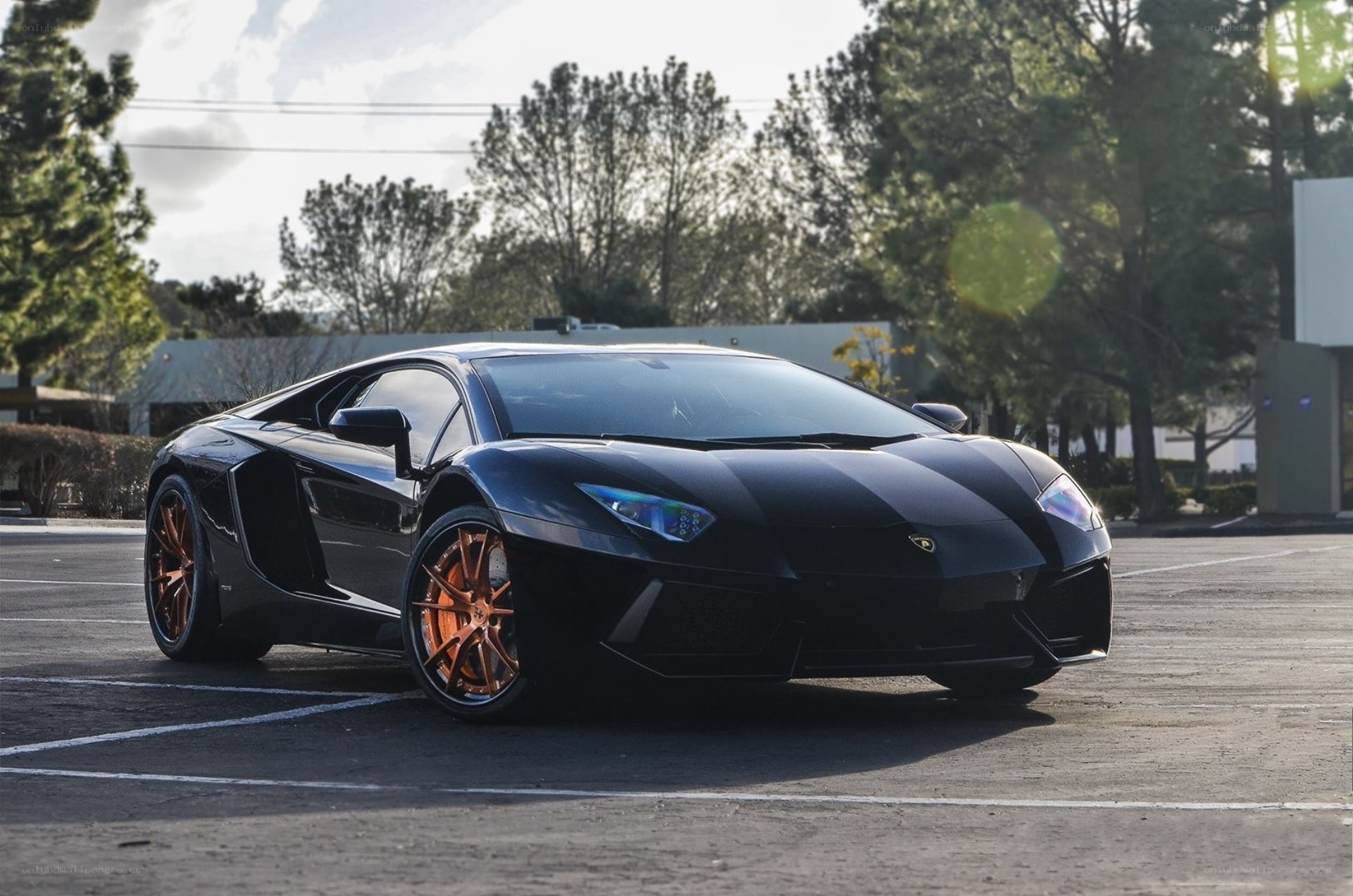 Black Lamborghini Aventador