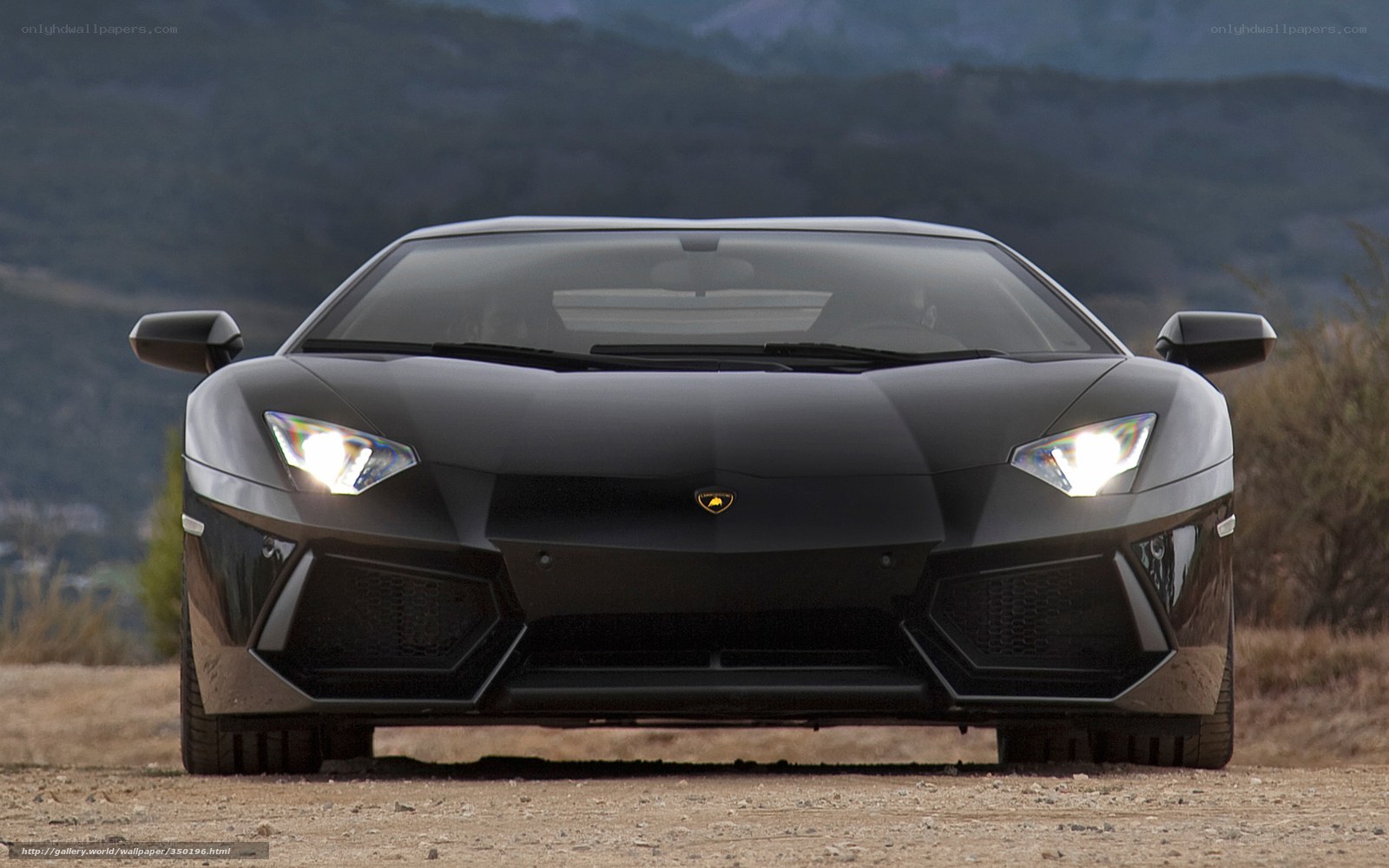 Black Lamborghini Aventador
