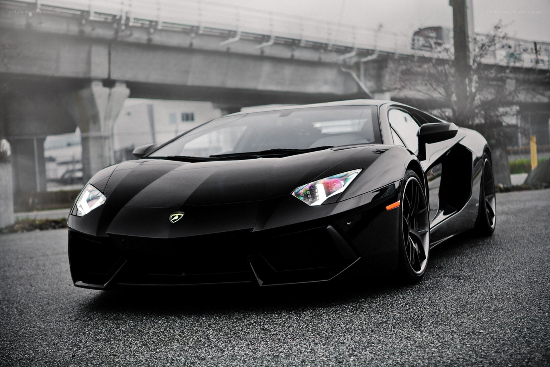 Black Lamborghini Aventador
