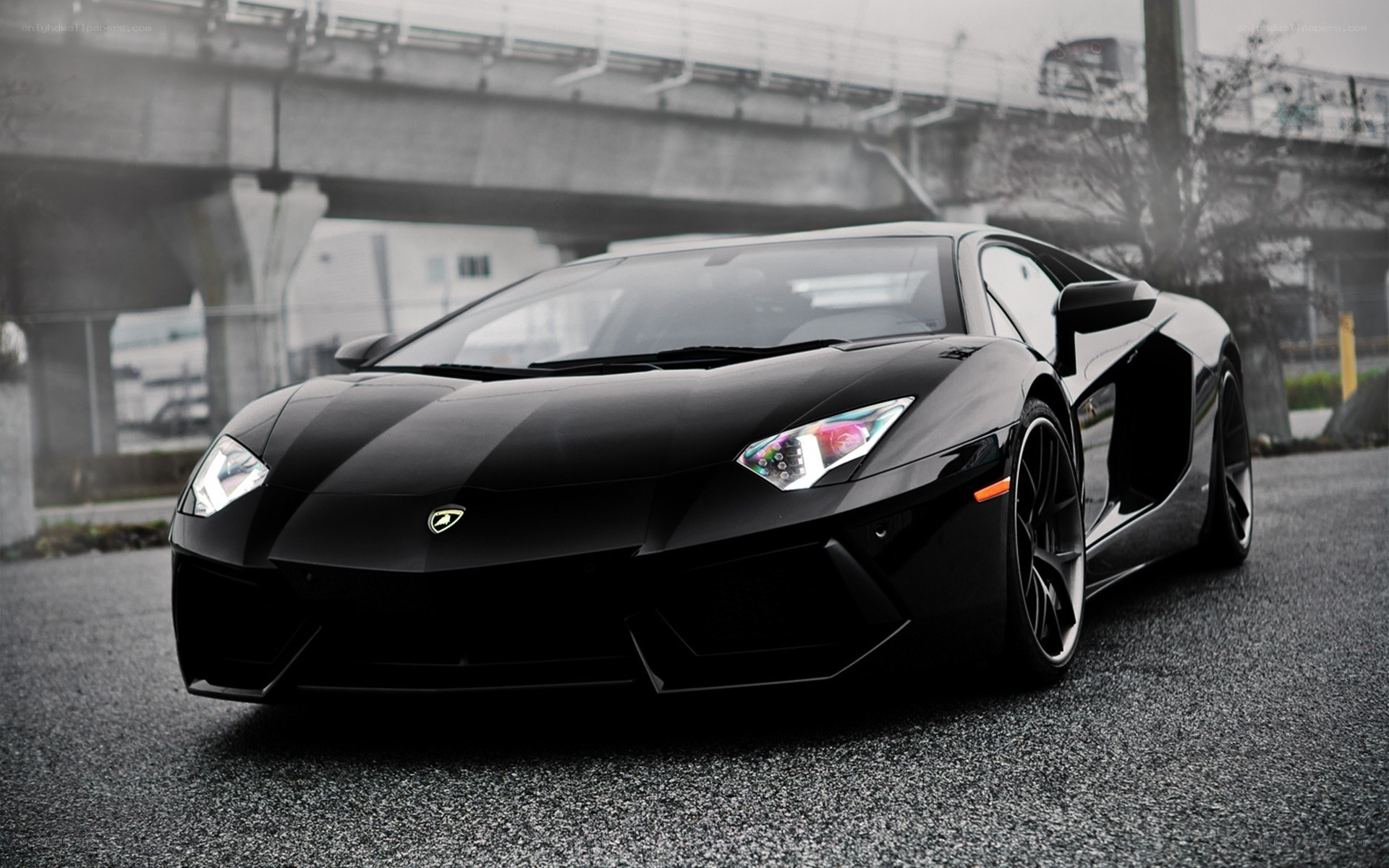 Black Lamborghini Aventador
