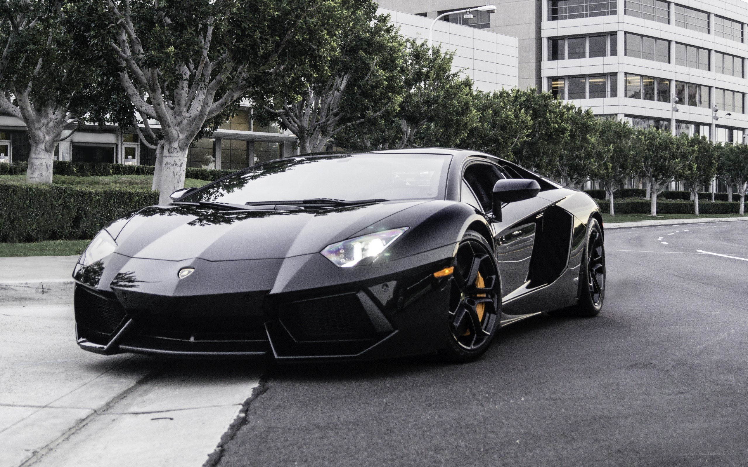 Black Lamborghini Aventador