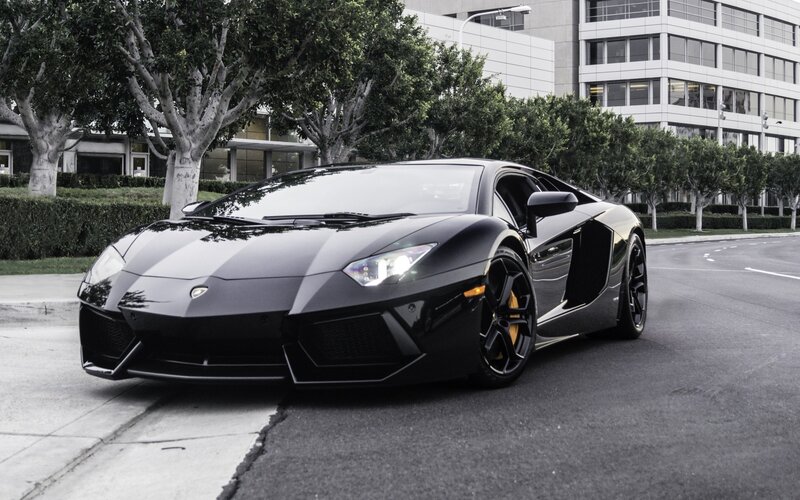 Black Lamborghini Aventador — Calm, Afternoon, Photograph, Car, Tree