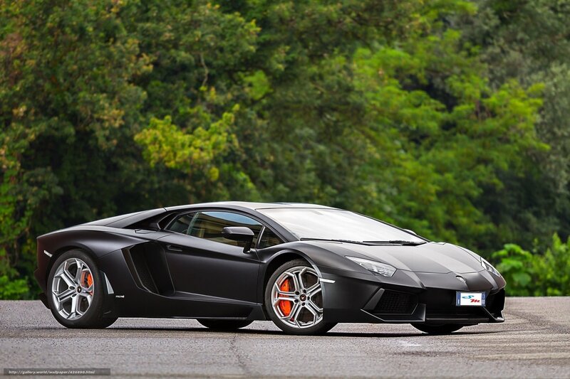 Black Lamborghini Aventador — Calm, Afternoon, Photograph, Trees