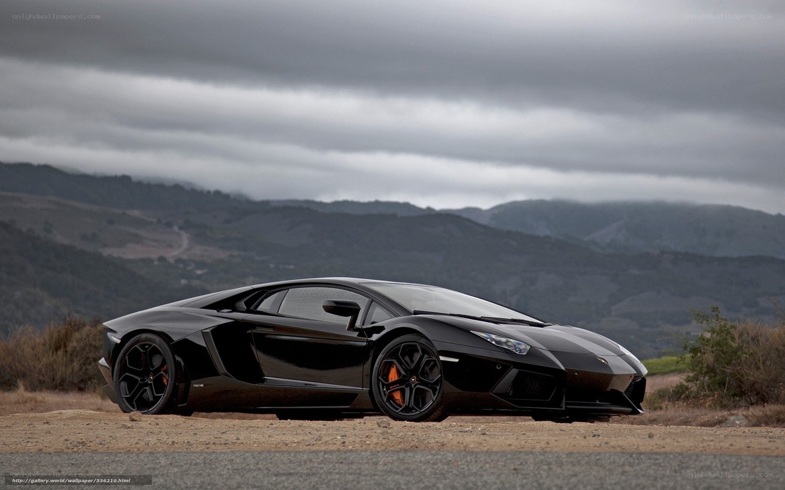 Black Lamborghini Aventador