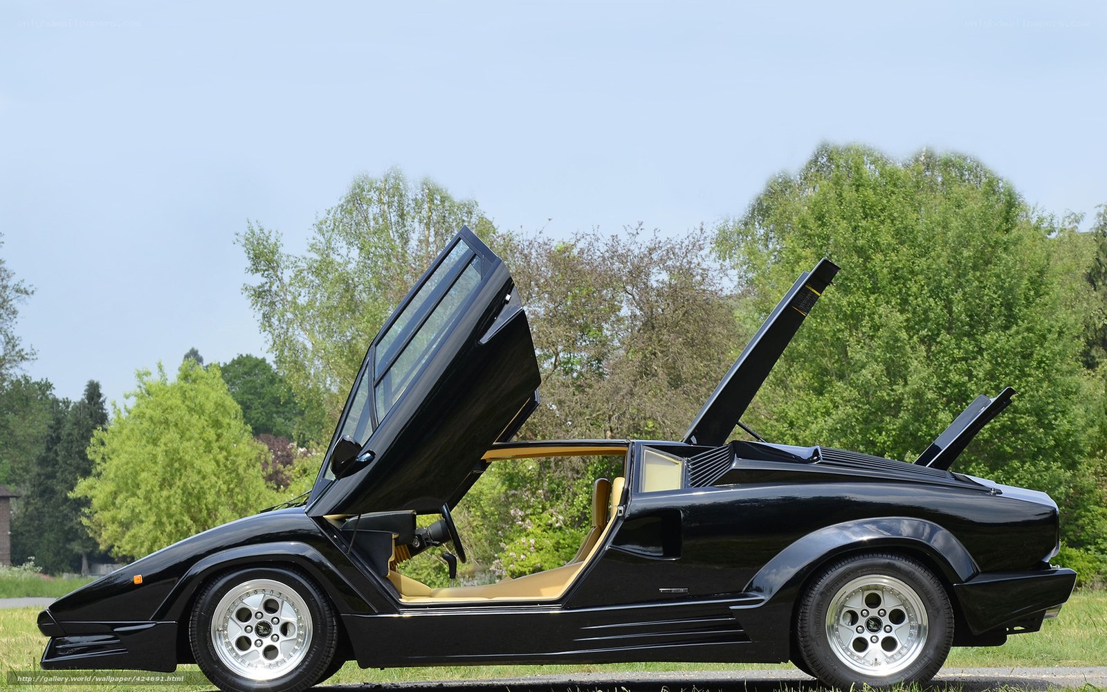 Black Lamborghini Countach