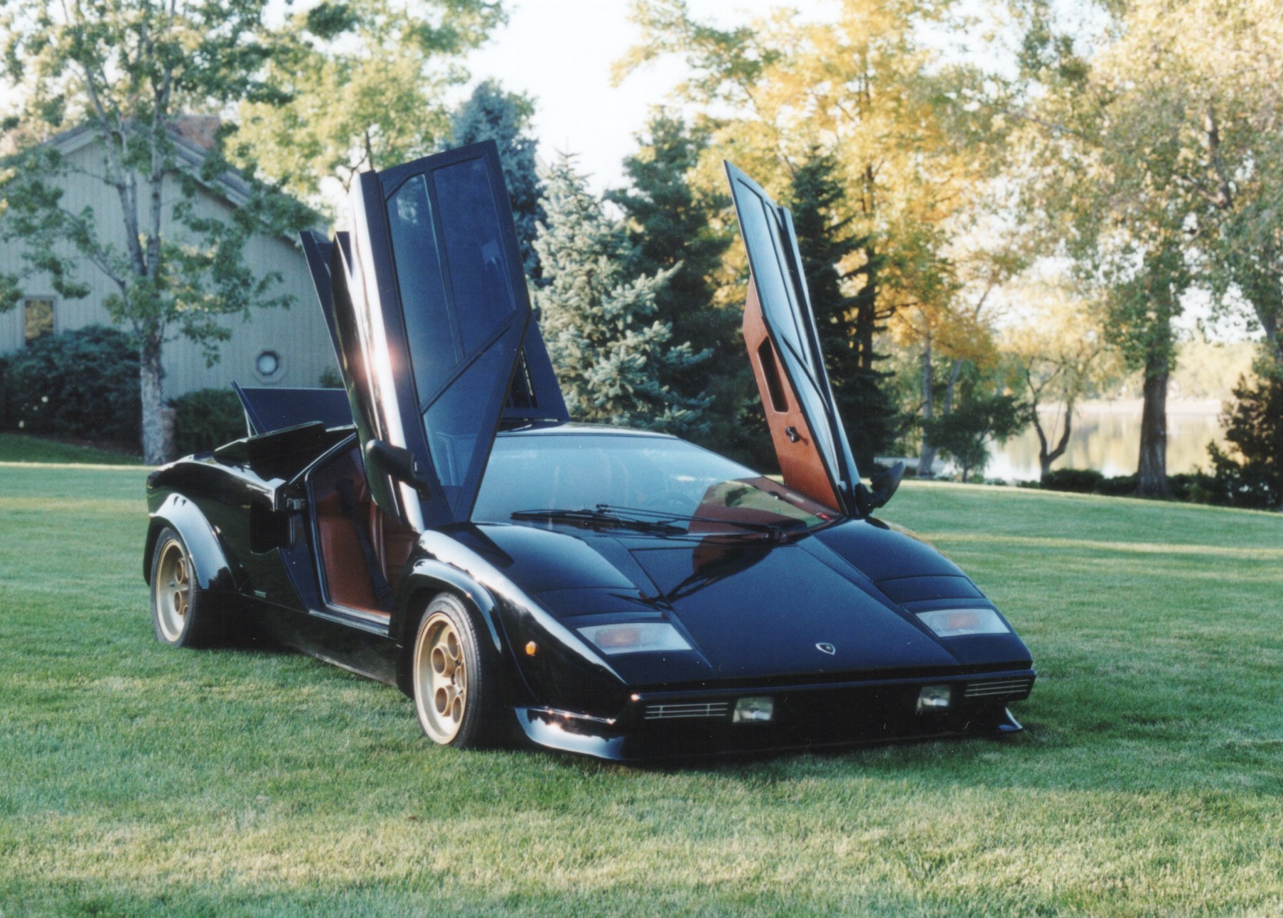 Black Lamborghini Countach on lawn