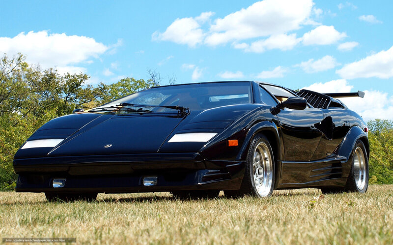 Black Lamborghini Countach — Serene, Afternoon, Photograph